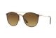 Ray Ban 0Rb354690098549 Highstreet Gold Top Brown Steel U Nb